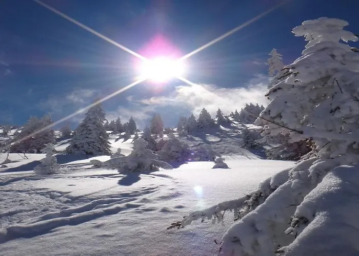 Lägenhet Meikl By Managers *